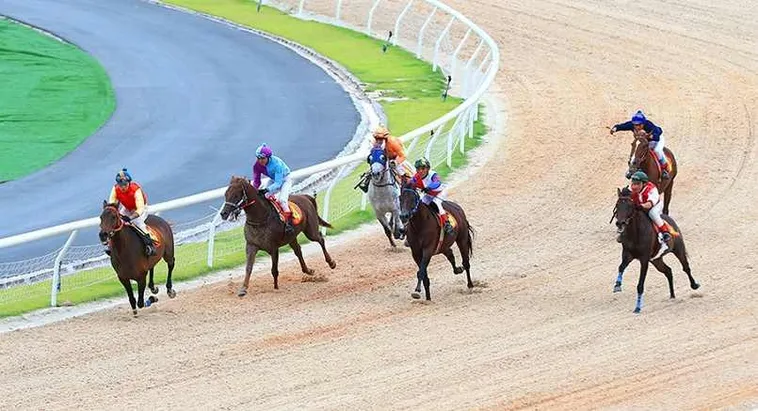 Tìm Hiểu Cá Cược Đua Ngựa For88: Hành Trình Thắng Lớn 1 Tìm Hiểu Cá Cược Đua Ngựa For88: Hành Trình Thắng Lớn